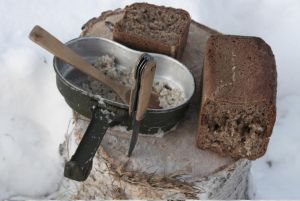Armia Polska w ZSRR. То́цкое 1941