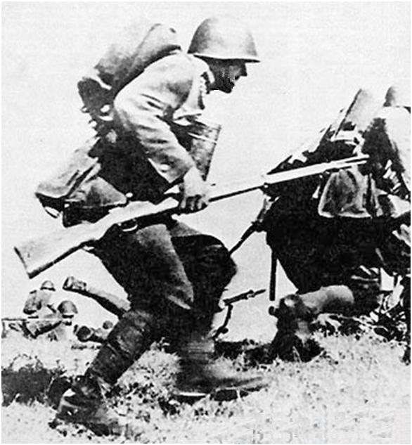 polskaKOP.jpg